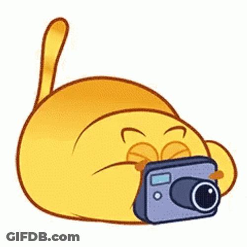 Photographer Cartoon Cat GIF
