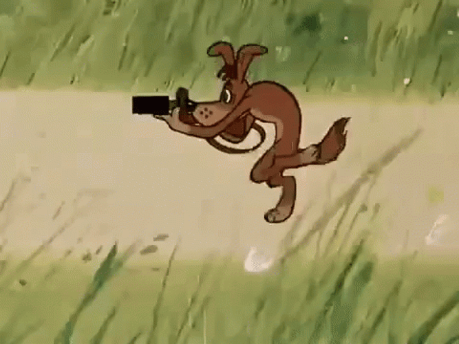 Photographer Cartoon Dog GIF
