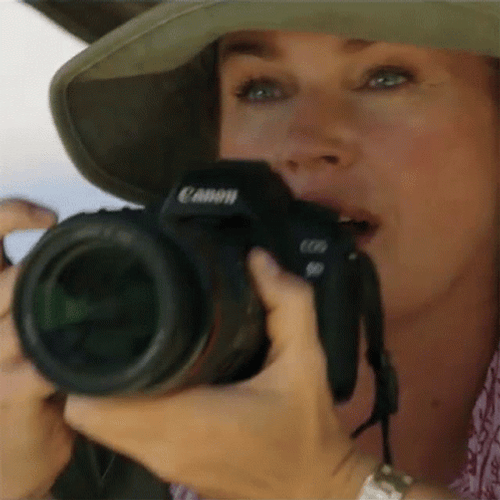 Photographer Lauren Halsey GIF