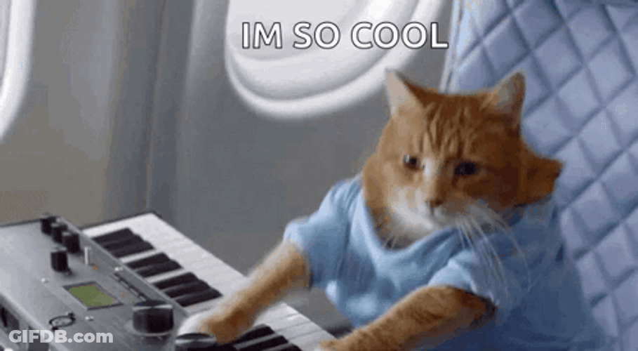 Piano Dancing Cat Meme GIF