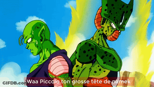 Piccolo And Cell Are Standing Next To Each Other With The Caption Waa Piccolo Ton Grosse Tete De Namek GIF