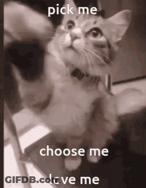 Pick Me Choose Me And Love Me GIF