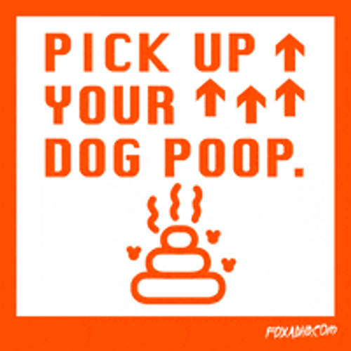 Pick Up Dog Poop Digital Reminder GIF