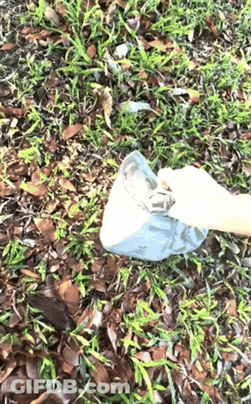Picking Up Dog Poop With Plastic Bag GIF