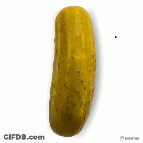 Pickle In Sunglasses Saying Dyl With It GIF