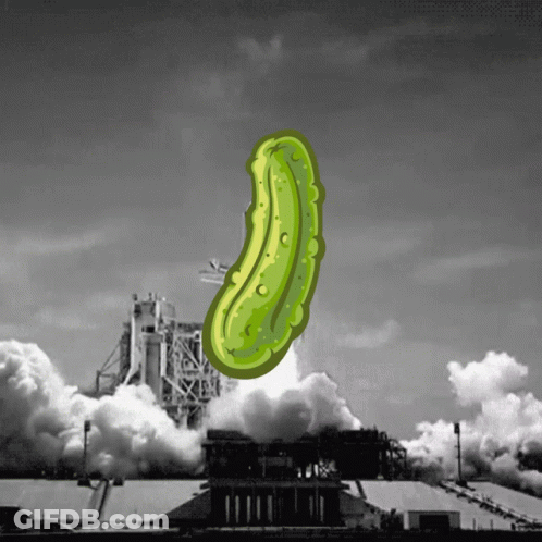 Pickle Launched Into Sky GIF