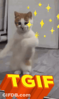 Pickle Reading Book With Letter A GIF