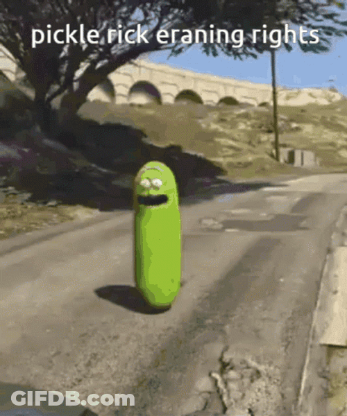 Pickle Rick Wandering In The Street GIF