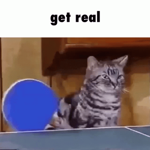 Pickleball Game Parody Meme GIF
