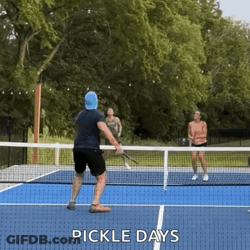 Pickleball Pickle Day Missed Shot Meme GIF