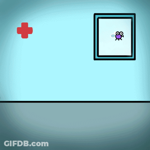 Picture Frame With Red Cross And Bug GIF