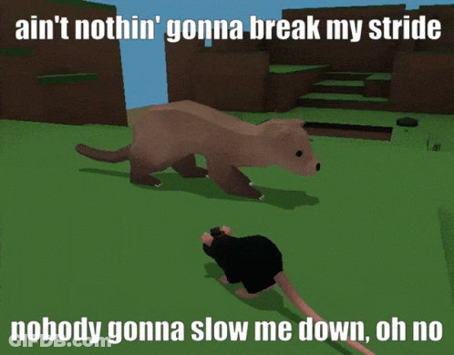 Picture Of Ferret And Rat With Caption Ain't Nothin' Gonna Break My Stride GIF