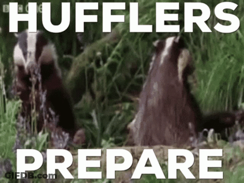 Picture Of Two Badgers With Words Huffers Prepare GIF