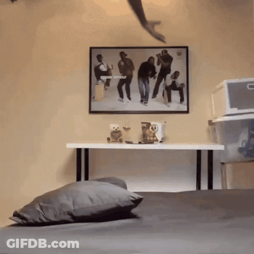 Picture Saying I Love Myself GIF