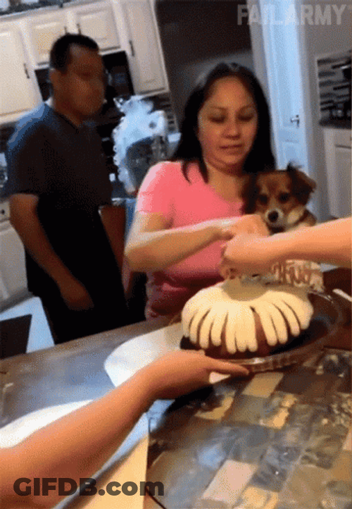 Pie In The Face GIF