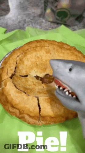 Pie With Shark Topping And Pie Text GIF