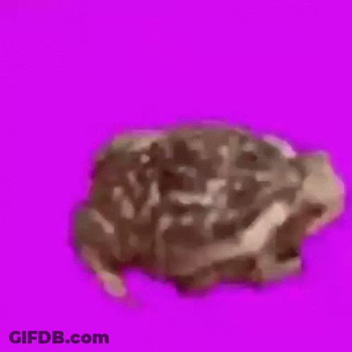 Piece Of Chocolate Cake GIF