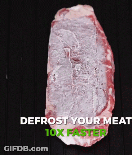 Piece Of Meat Defrost Your Meat 10X Faster GIF
