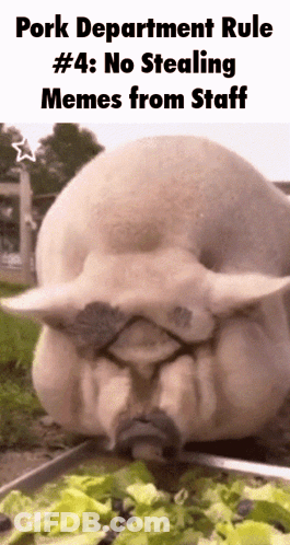 Pig Eating Lettuce Pork Department Rule #4 No Stealing Memes From Staff GIF