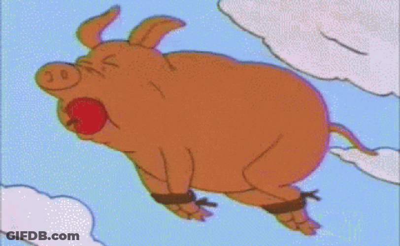 Pig Flies Escaped From Cooking GIF