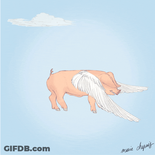 Pig Flies Flapping Wings Animation GIF