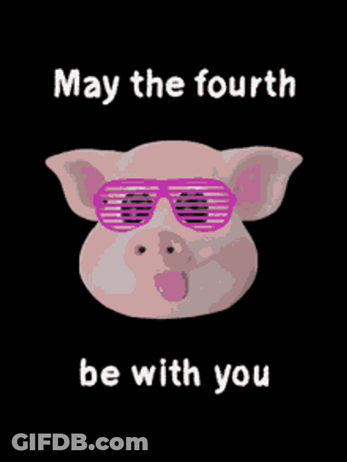 Pig Glasses May The 4Th Be With You GIF