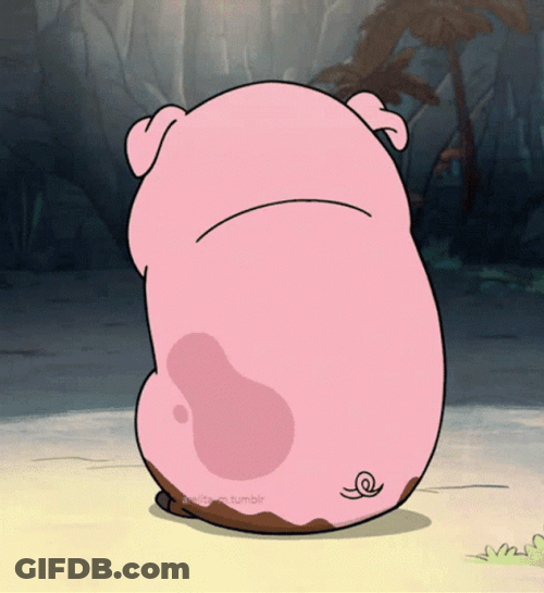 Pig Head Turn GIF