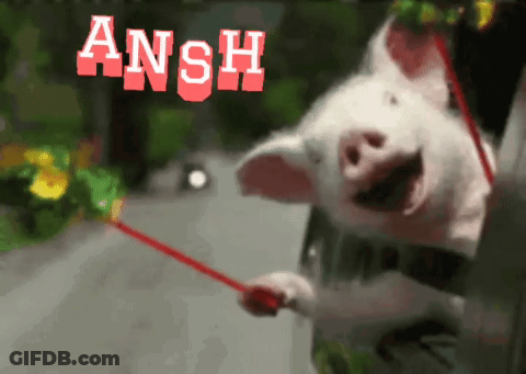 Pig Holding Red Stick Ansh GIF