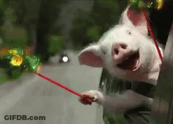 Pig Holding Red Stick Smiling GIF