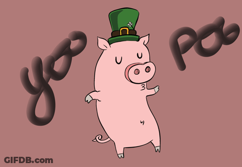 Pig In Leprechaun Hat Saying Yo Poo GIF