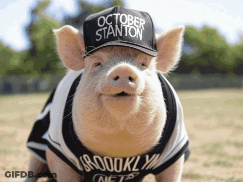 Pig In October Stanton Hat And Nets Jersey GIF