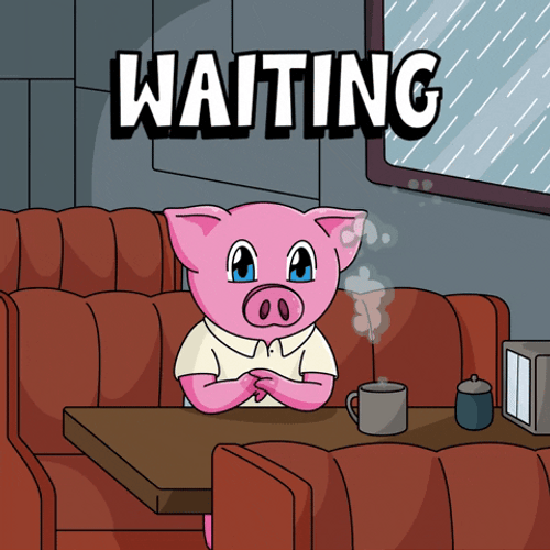 Pig Is Still Waiting Meme GIF