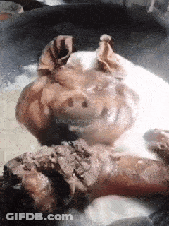 Pig Laying On Dirt With Word Line GIF