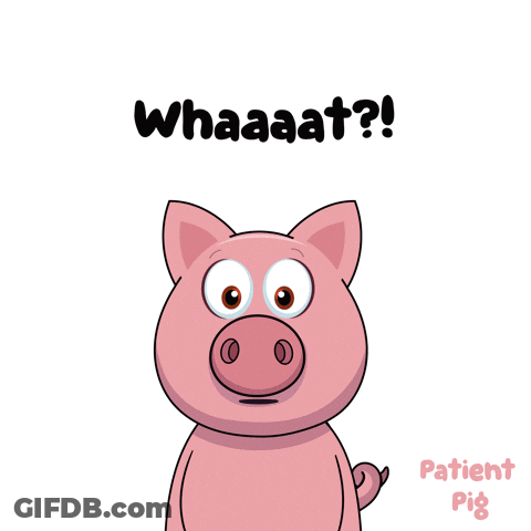 Pig Mouth Open Whaaat GIF