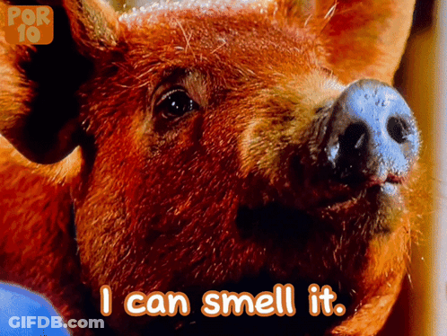 Pig Says I Can Smell It In Front Of Por 10 Logo GIF