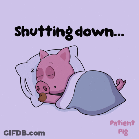 Pig Sleeping Shutting Down GIF