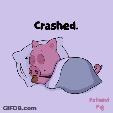 Pig Sleeping Under Blanket Crashed GIF
