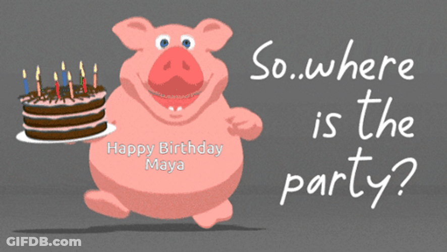 Pig So Where Is The Party Meme GIF