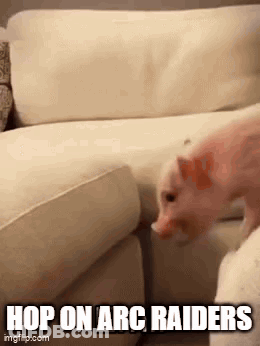 Pig Standing Next To Couch Saying Hop On Arc Raiders GIF