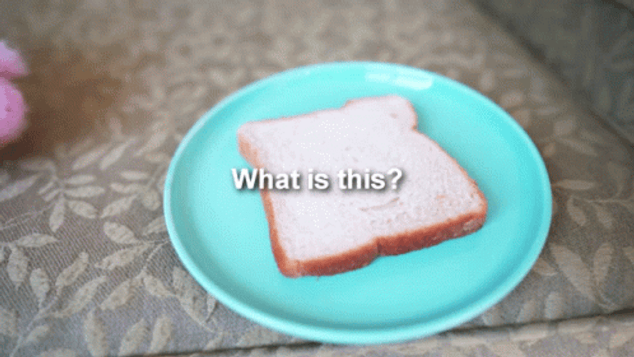 Pig Stuffed Toy Omg Toast Bread GIF