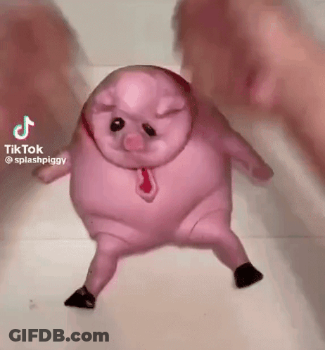 Pig Wearing Tie And Socks Dancing GIF