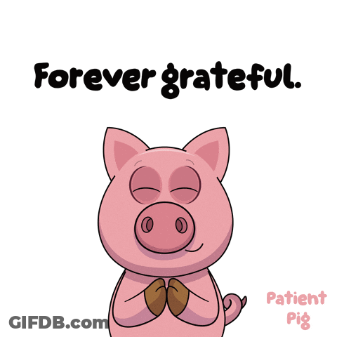 Pig With Eyes Closed Forever Grateful GIF