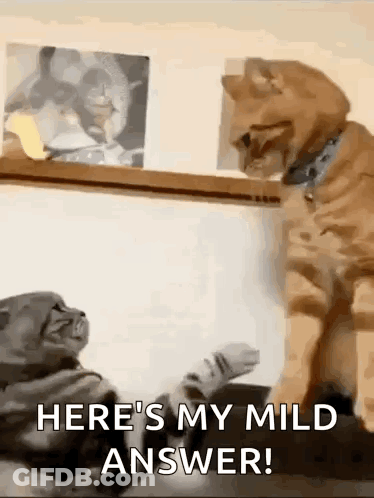 Pig With Post These Pigs Caption GIF