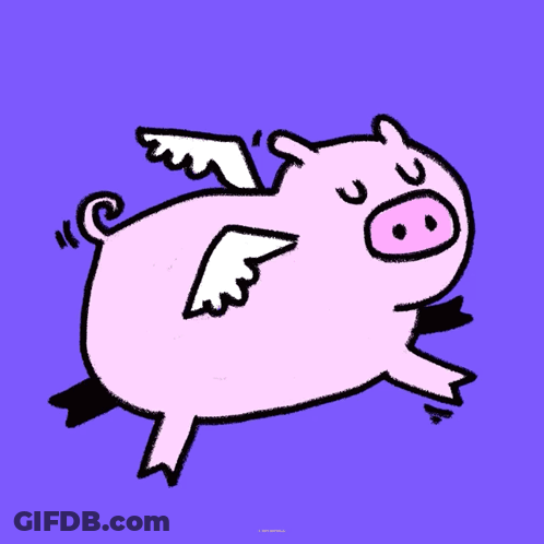 Pig With White Wings On Purple Background GIF