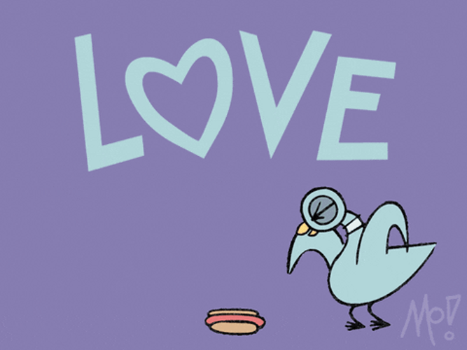 Pigeon Bird Love GIF