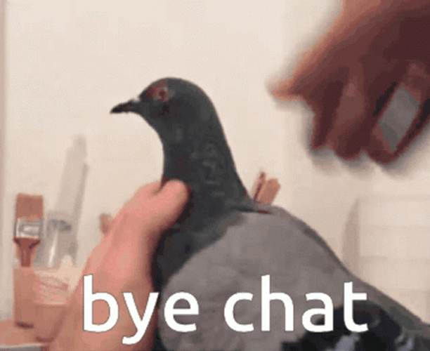 Pigeon Cut Head Bye Chat GIF
