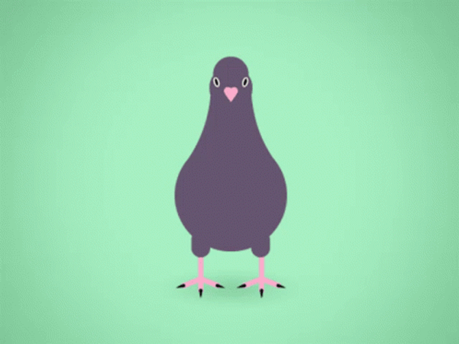 Pigeon Dance Animated GIF