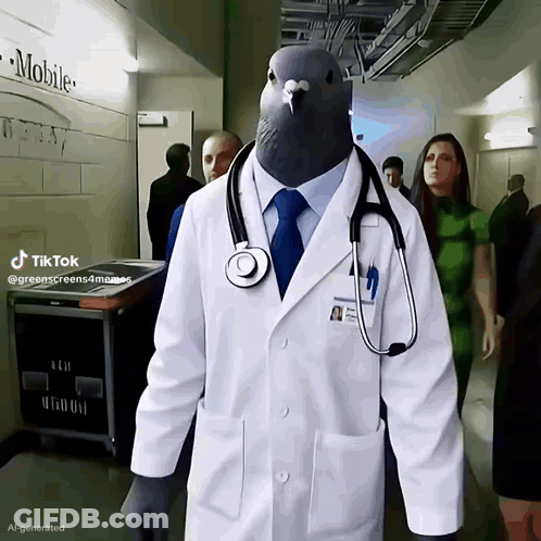 Pigeon Dressed As Doctor With Stethoscope GIF