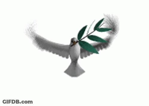 Pigeon Flying With Branch In Beak GIF