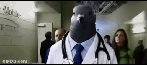 Pigeon In Doctor Coat And Tie GIF